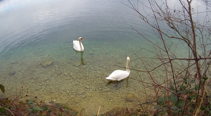 Attersee, Wandl Januar 2014