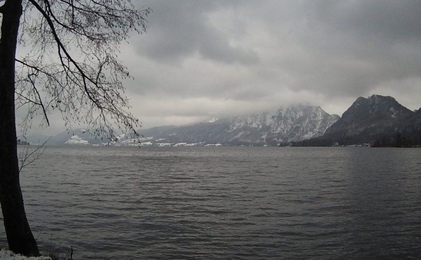 Unterwasserwald Attersee Januar 2018