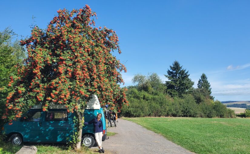 Von Bayern nach Friesland
